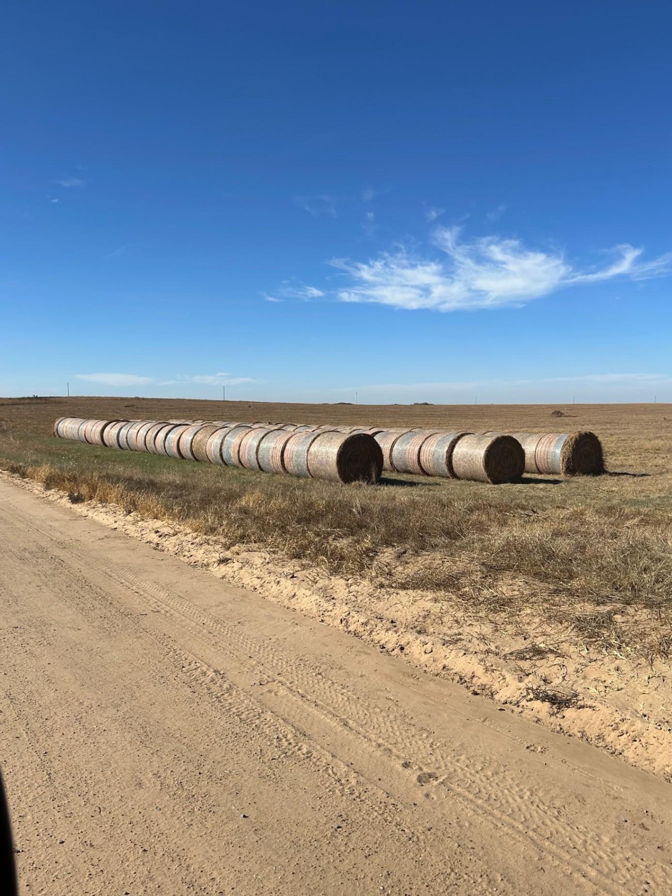 Large Round CRP Bales for sale Kismet, KS