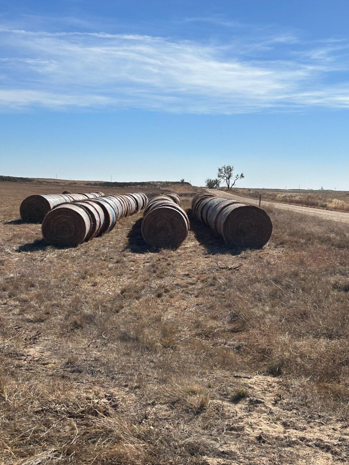 Large Round CRP Bales for sale Kismet, KS