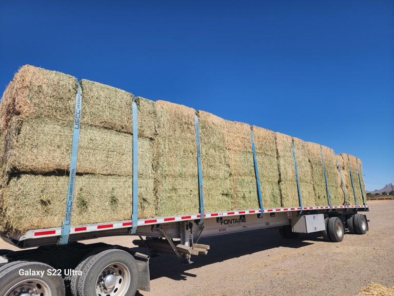 Hay Bales for Sale Near You Buy Online in NM