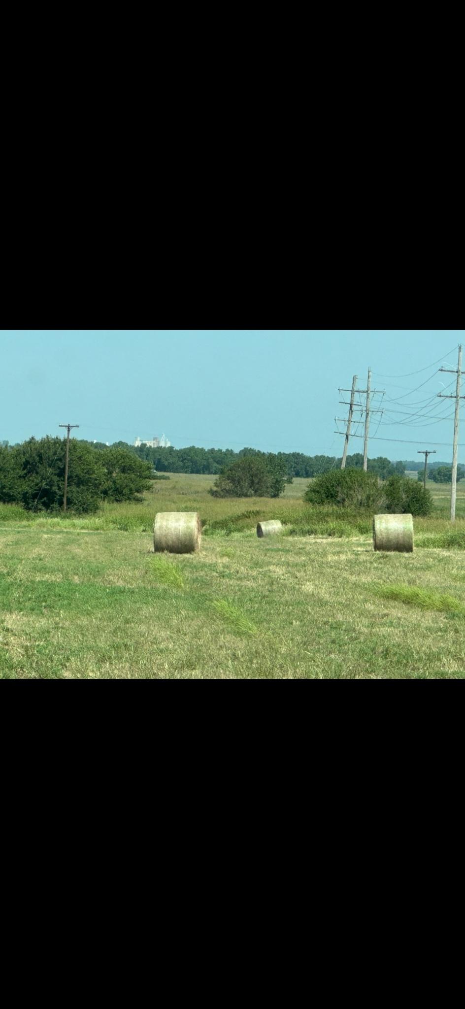 Large Round Bermuda Bales for sale Wakita, OK