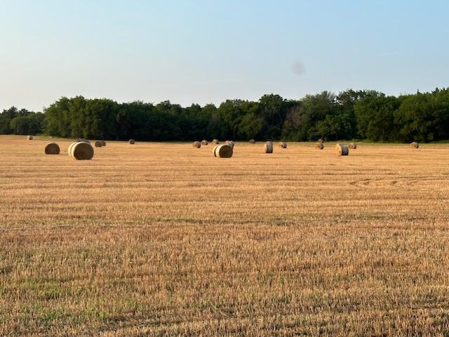 Large Round Rye Grass Bales for sale | Meridian, OK