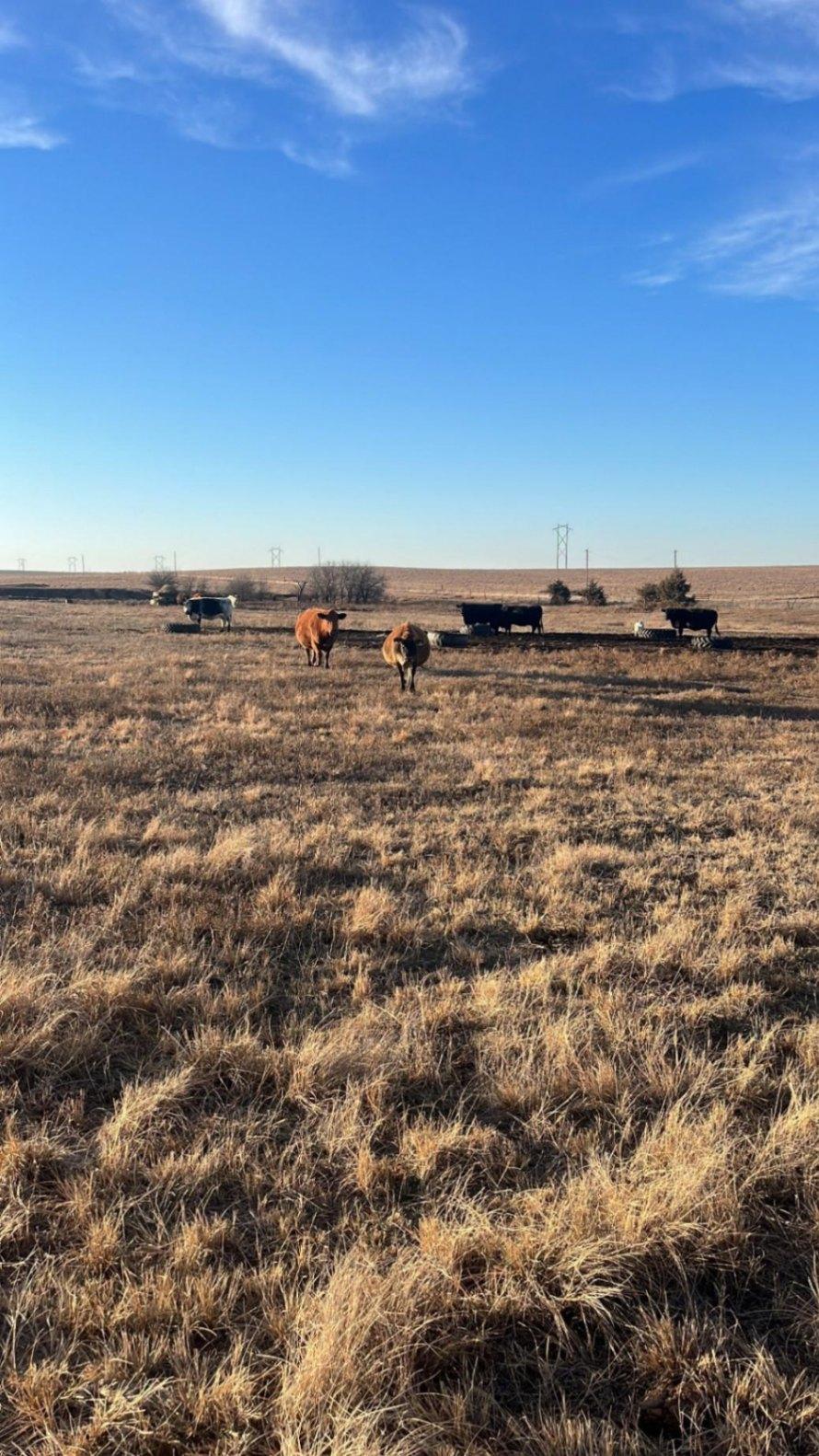 Pasture for Rent for sale Abilene, KS